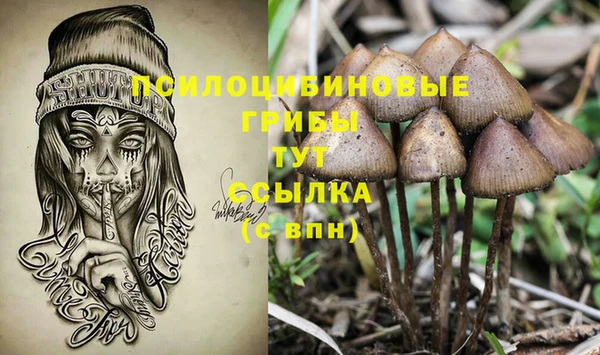 бошки Надым